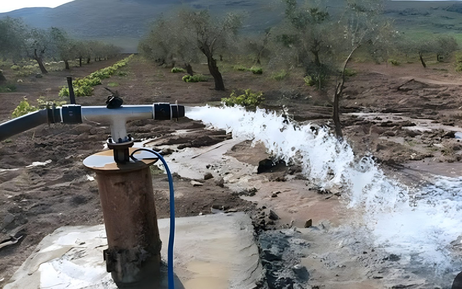 whatsapp image 2025 07 23 at 14.58.28 (1)